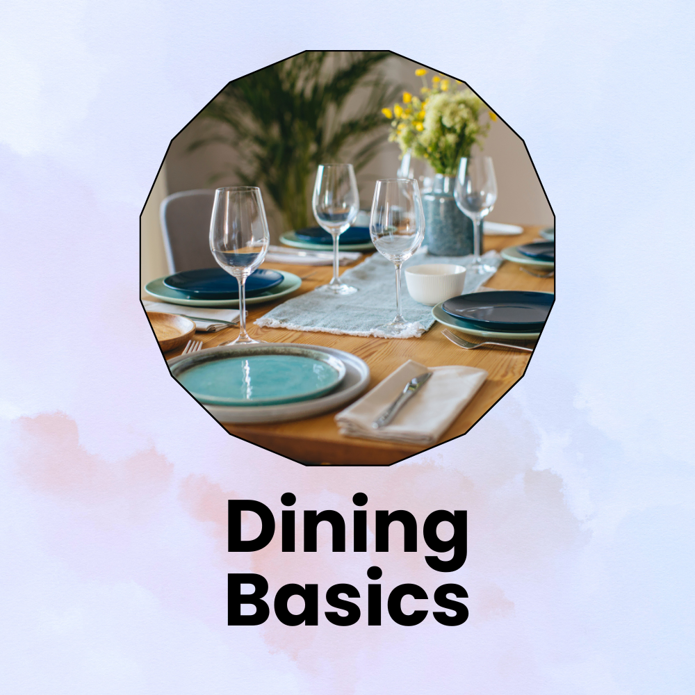 App banner cat dining basics important accessories