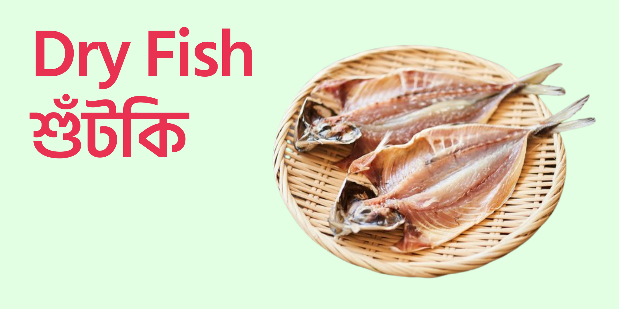 App banner dry fish cat yummy 0815