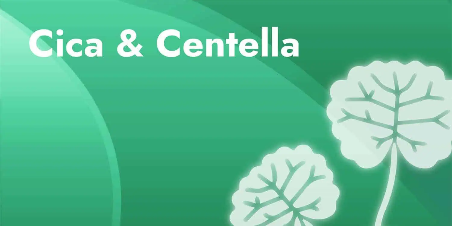 App banner sbi cica centella