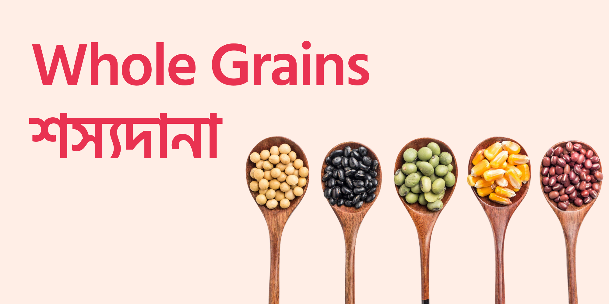 App banner whole grains cat yummy